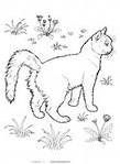 Кошечка симпатичная
