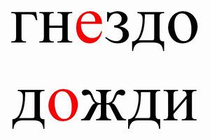 Слово написано - ГНЕЗДО