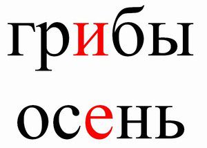 Слово написано - ГРИБЫ