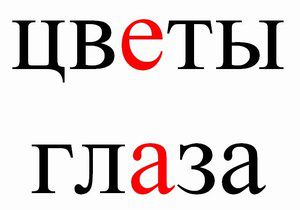 Цветы Глаза