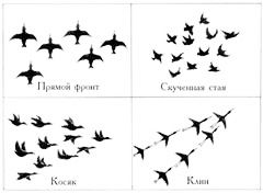 перелётные птицы