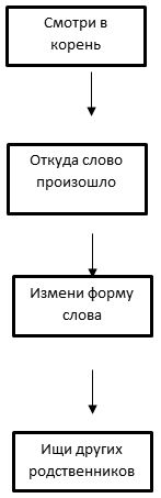 Проверка безударных гласных в корне слова