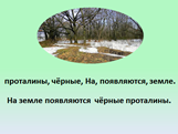Слайд № 10