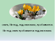 Слайд № 11