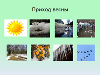 Слайд № 15