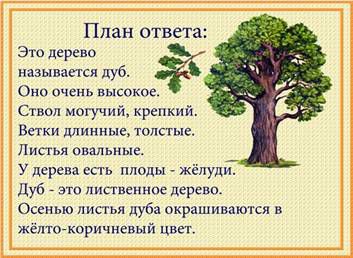 Дерево дуб