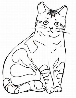 Кошка раскраска от логопеда