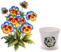 Комнатные растения