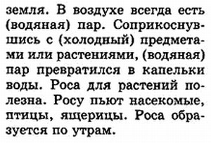 слова в предложениях
