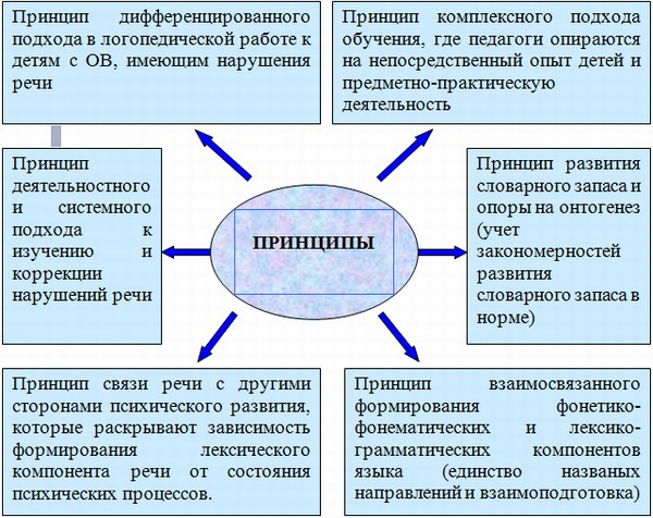 Принцип дифференцированного подхода