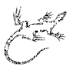 яЩерица