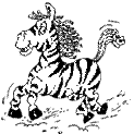зебРа