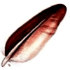 перо