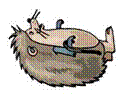 ежик