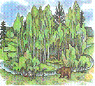 лес